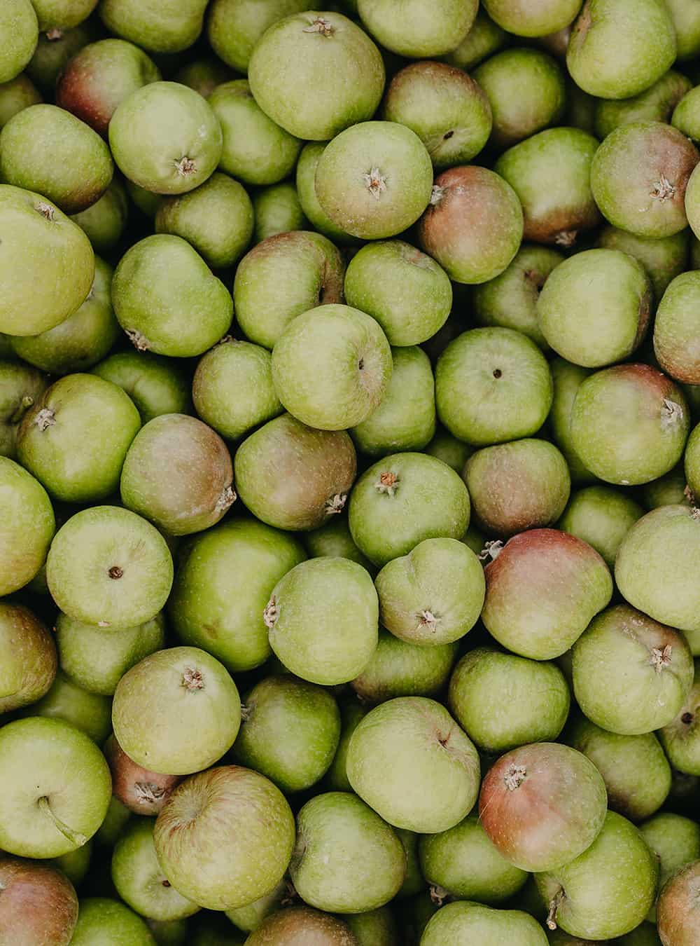 Rausch Swiss Apple Anti Pollution Shampoo 200ml