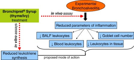 reduce coughing fits.