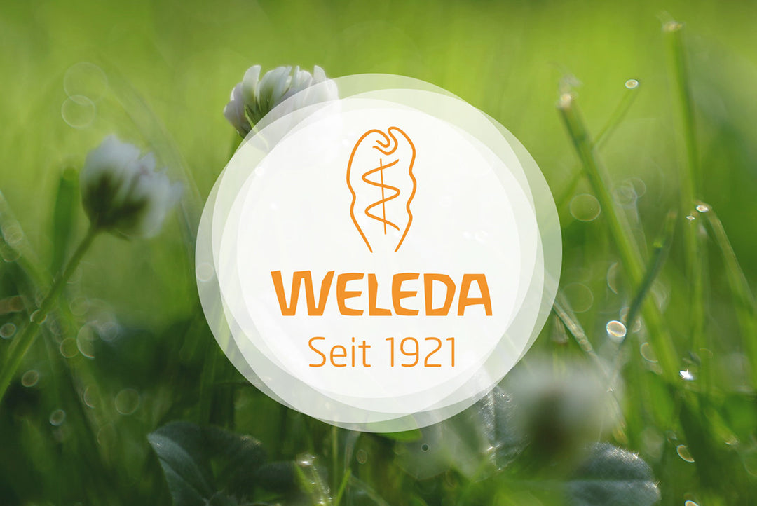 Weleda Rose Mary Hair Tonic 100ML