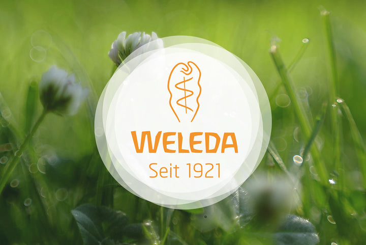 Weleda Rose Mary Hair Tonic 100ML